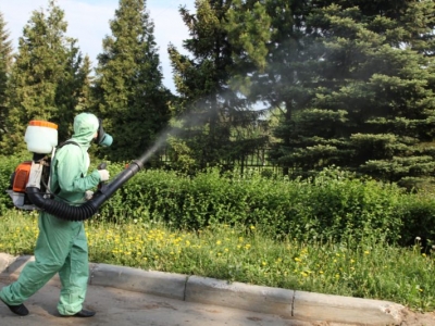 Уничтожение комаров в Видном
